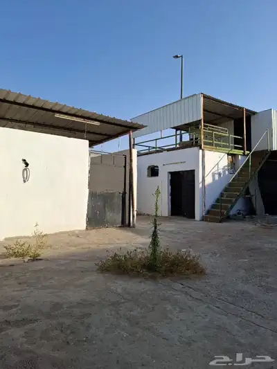بايكات خيل خلف نادي الفروسية 2