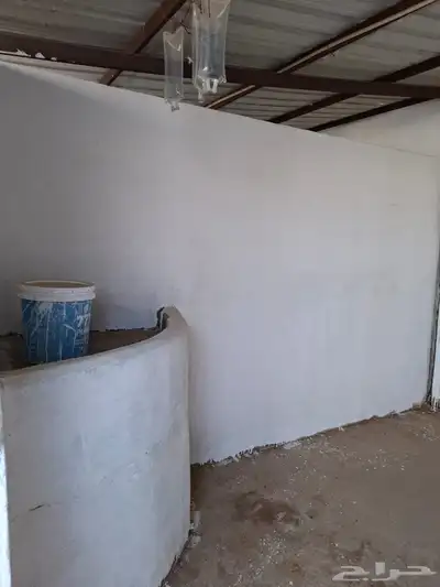بايكات خيل خلف نادي الفروسية 9