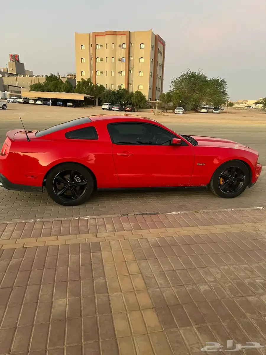 موستنج 5.0 6