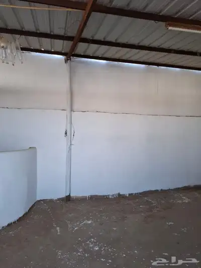 بايكات خيل خلف نادي الفروسية 4