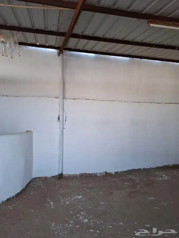 بايكات خيل خلف نادي الفروسية 4