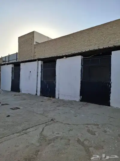 بايكات خيل خلف نادي الفروسية 0