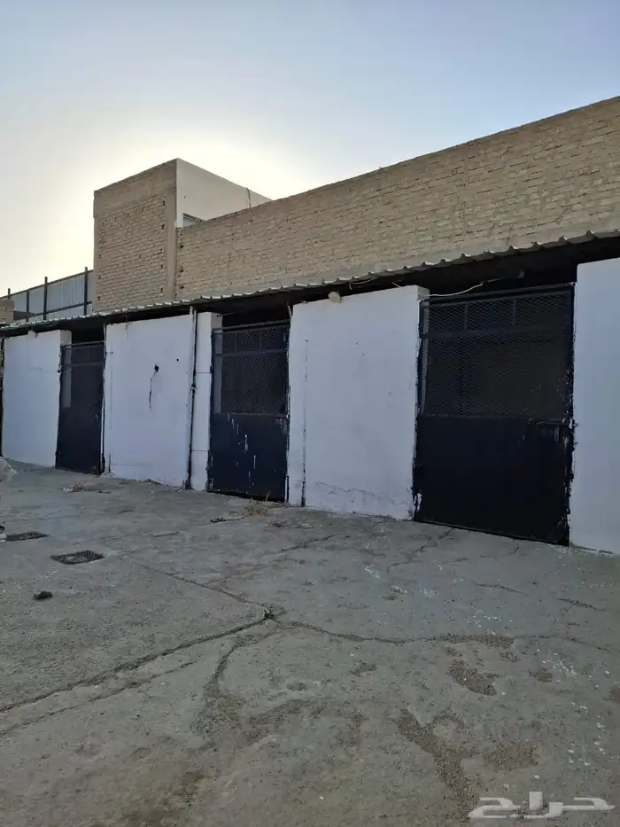 بايكات خيل خلف نادي الفروسية 0