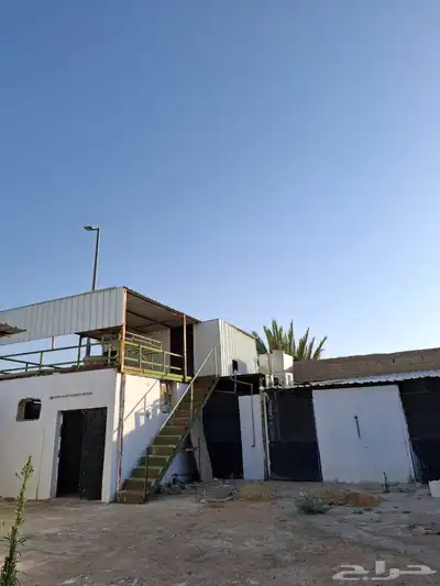 بايكات خيل خلف نادي الفروسية 1