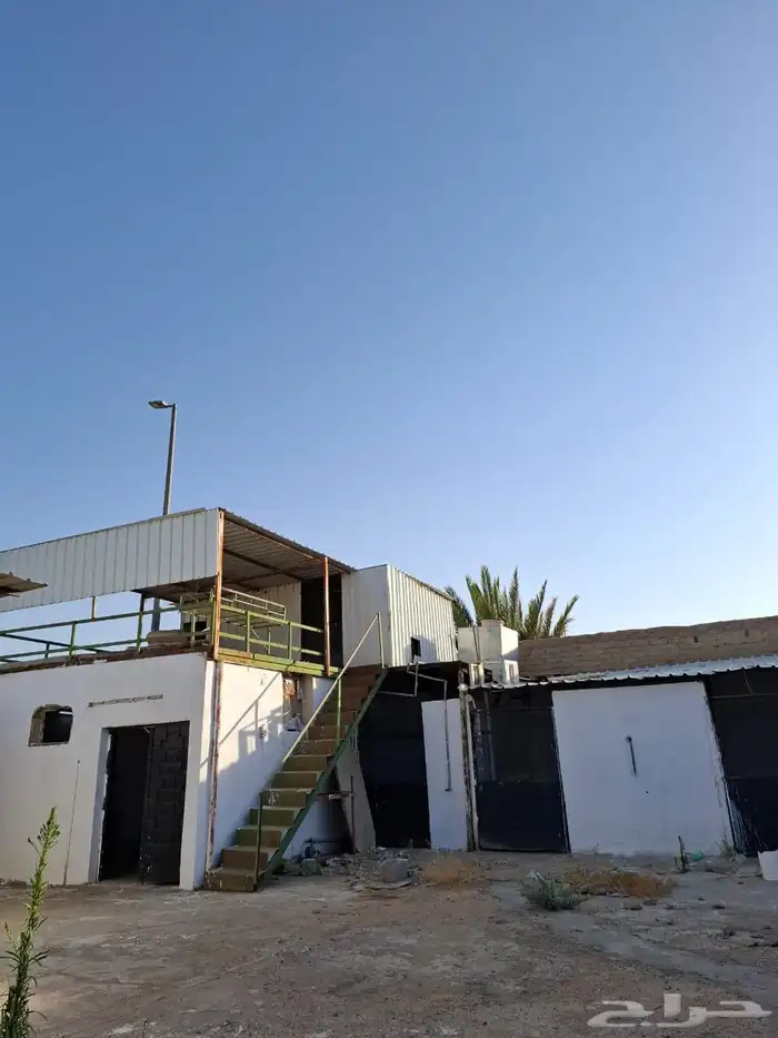 بايكات خيل خلف نادي الفروسية 1