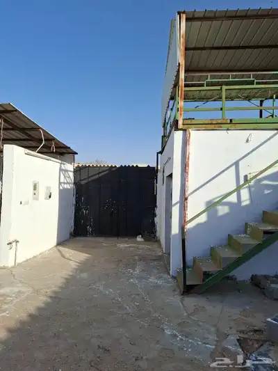 بايكات خيل خلف نادي الفروسية 3