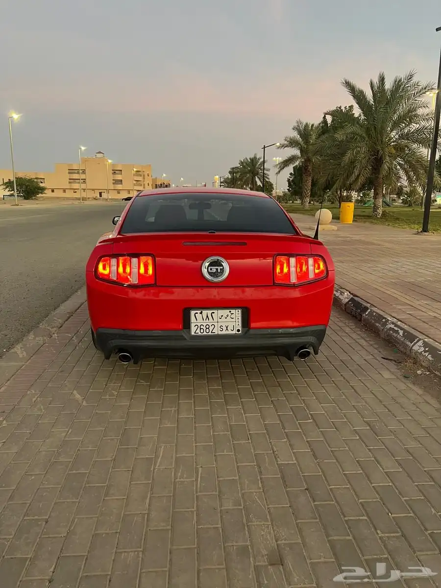 موستنج 5.0 8