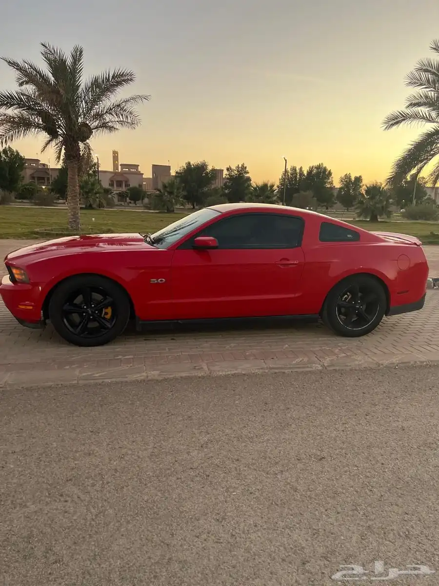 موستنج 5.0 5