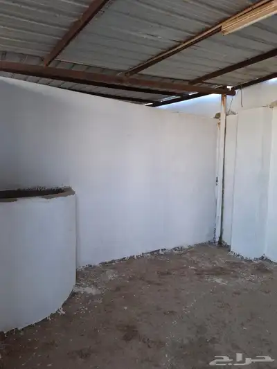 بايكات خيل خلف نادي الفروسية 7