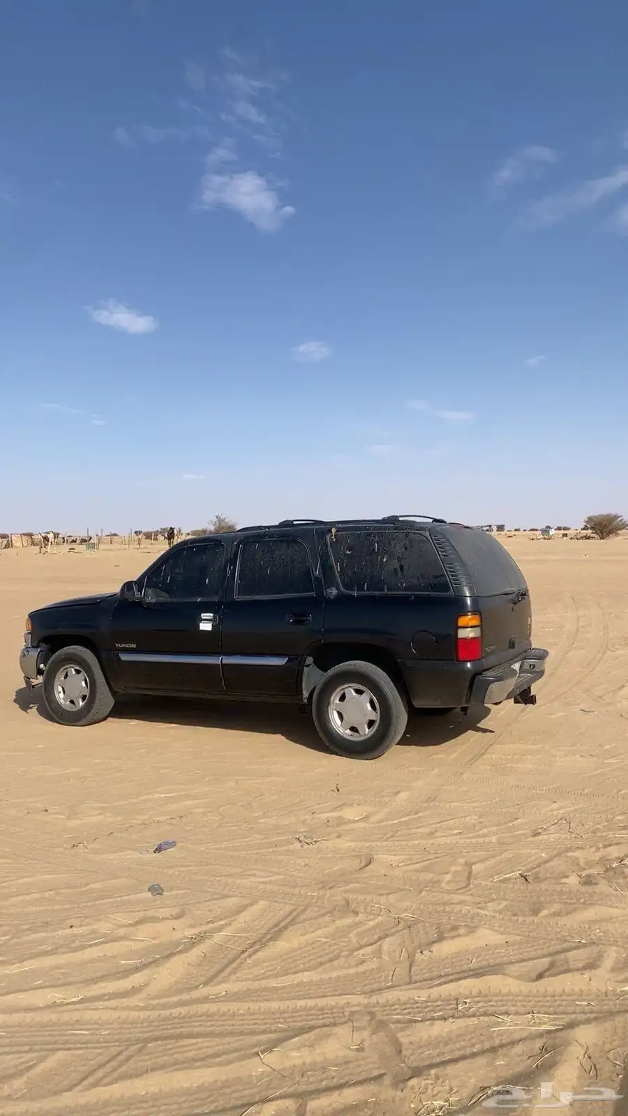 جمس ملكي 3