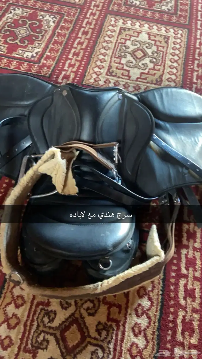 صرج خيل مقاس 18هندي شبه جديد 0