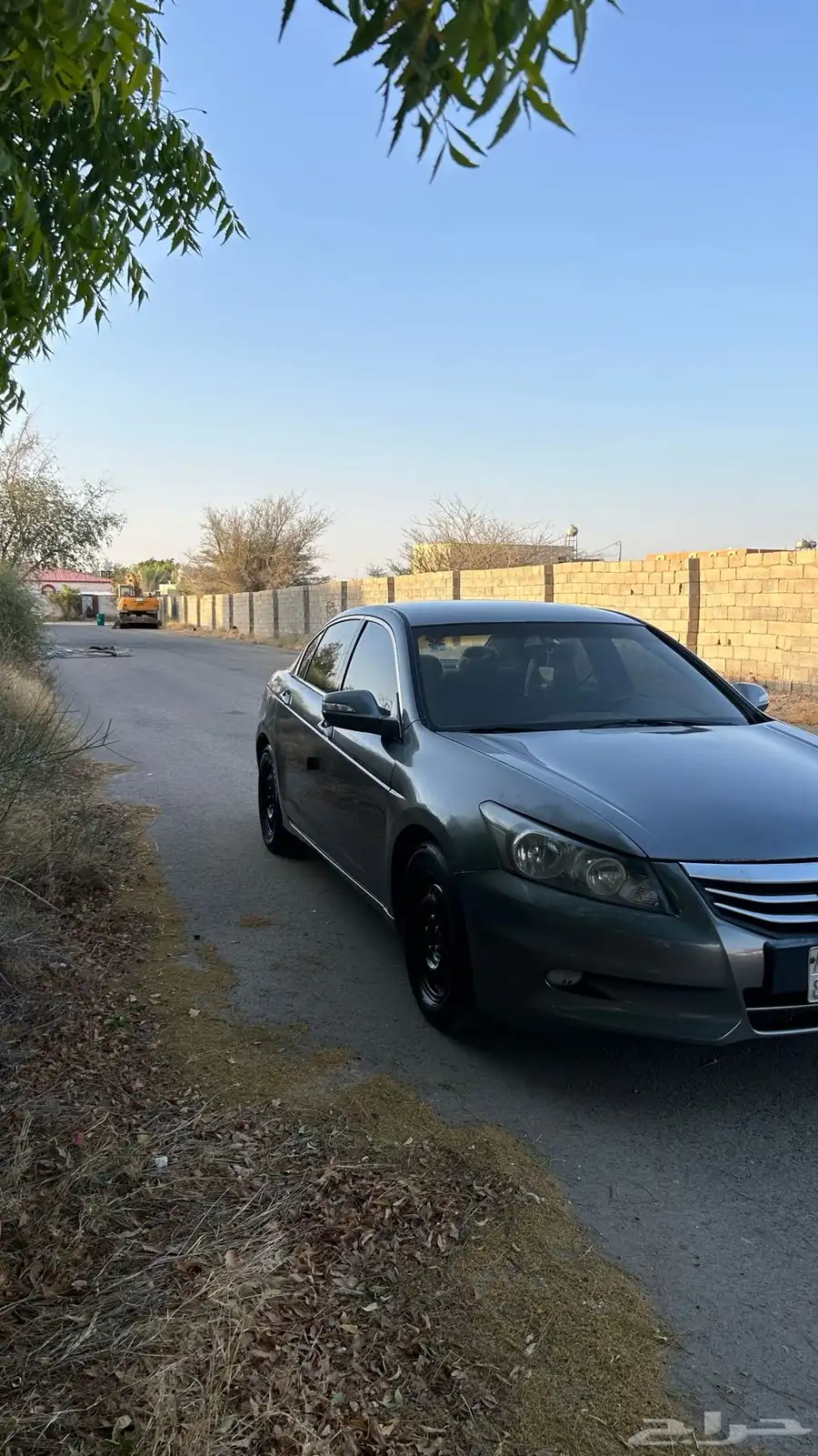 هوندا كورد 1