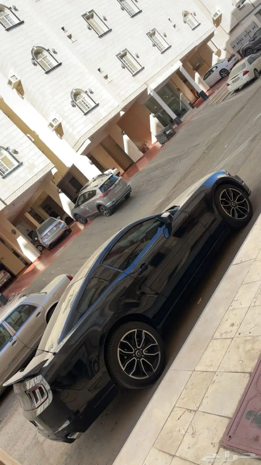 موستنق 2013 4