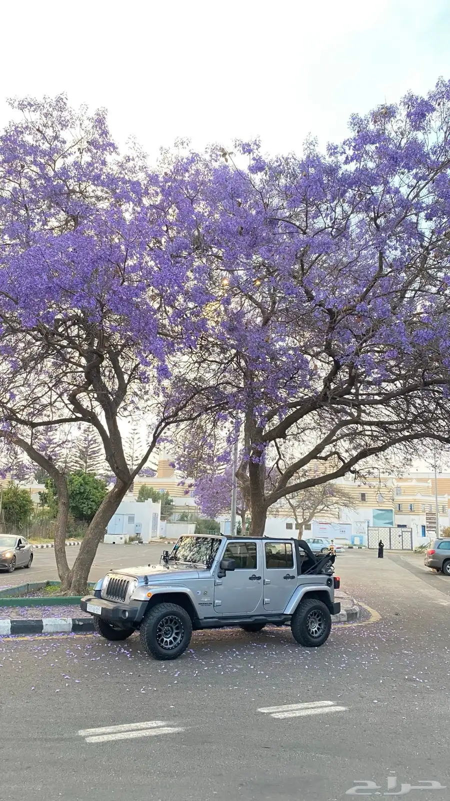 رانجلر 8
