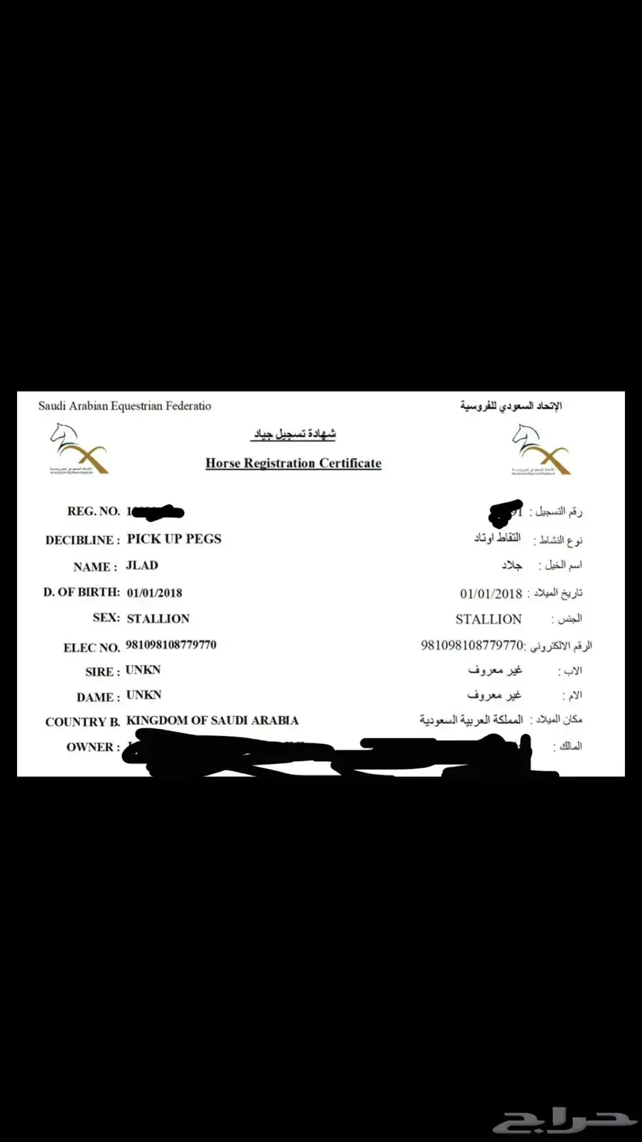 حصان 0
