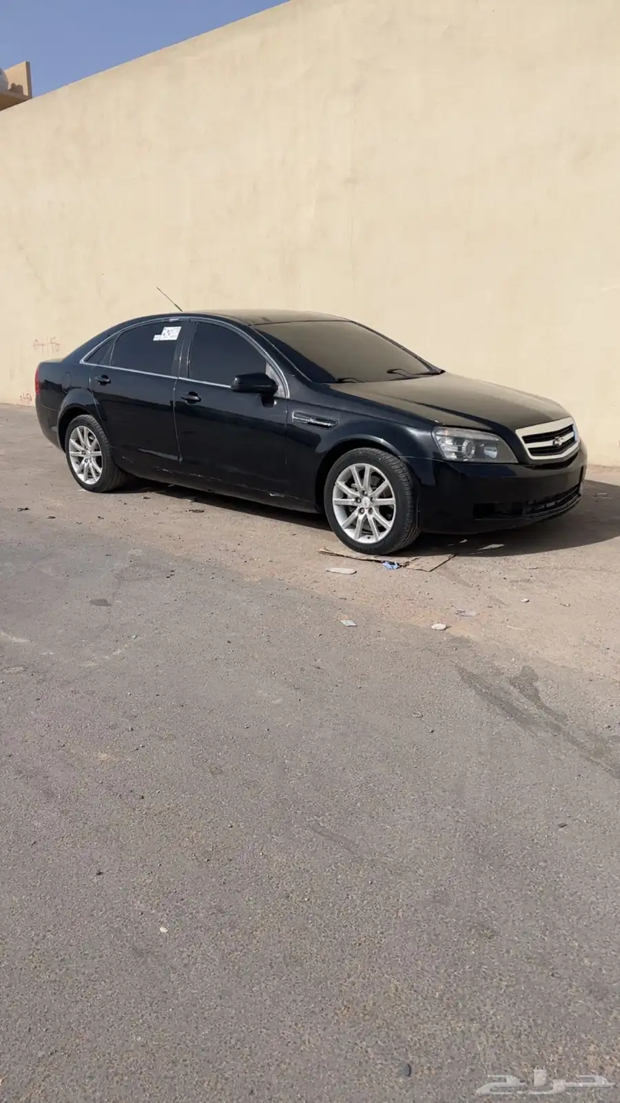 كابرس 2014 5