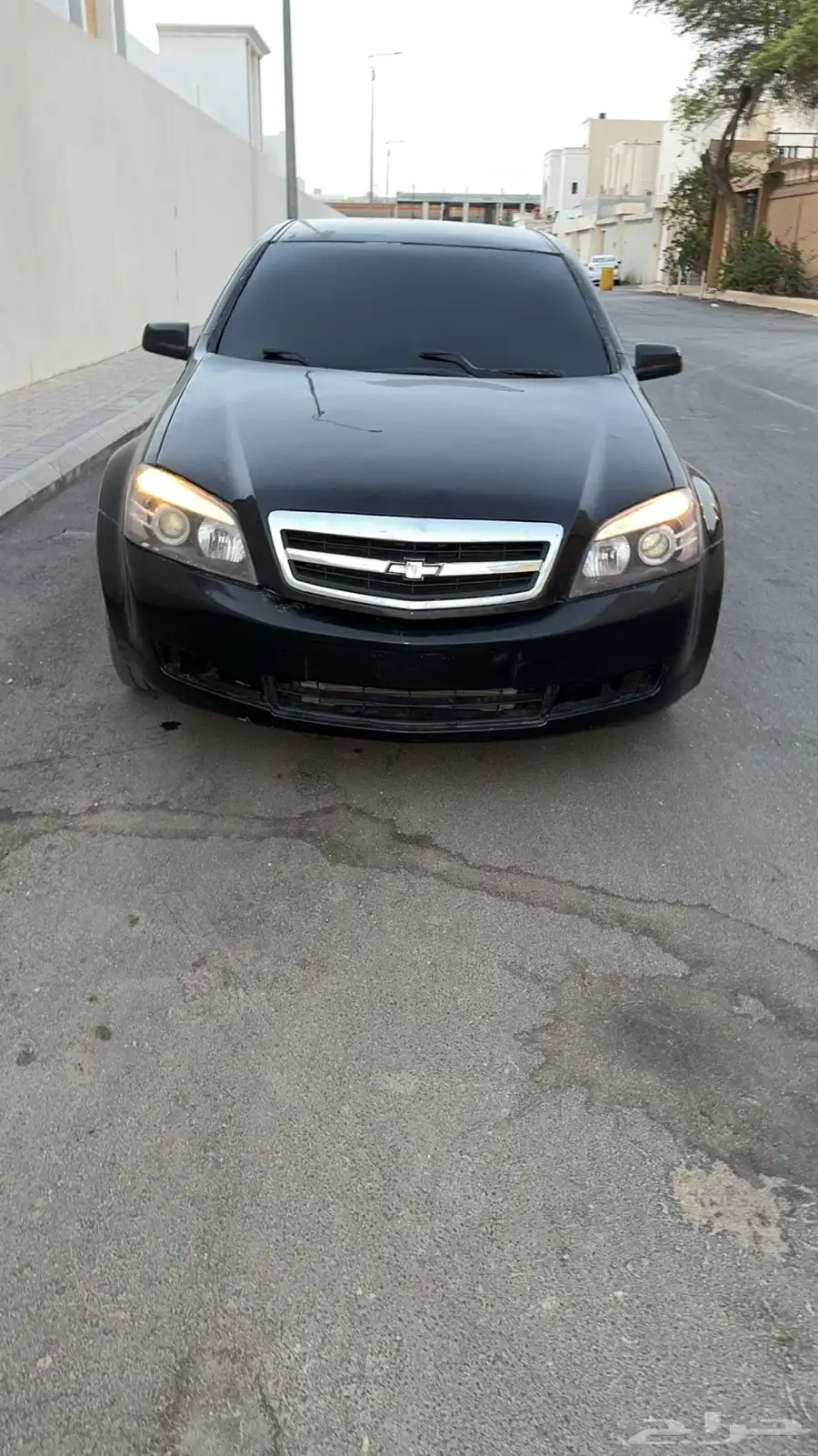 كابرس 2014 3