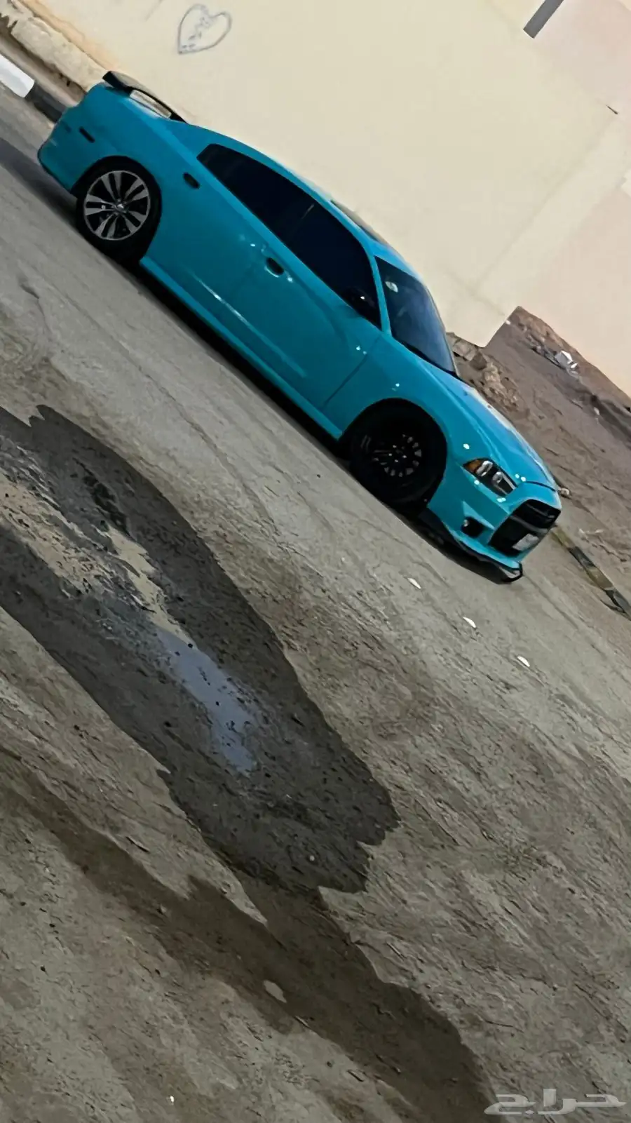 دوج تيفاني 14