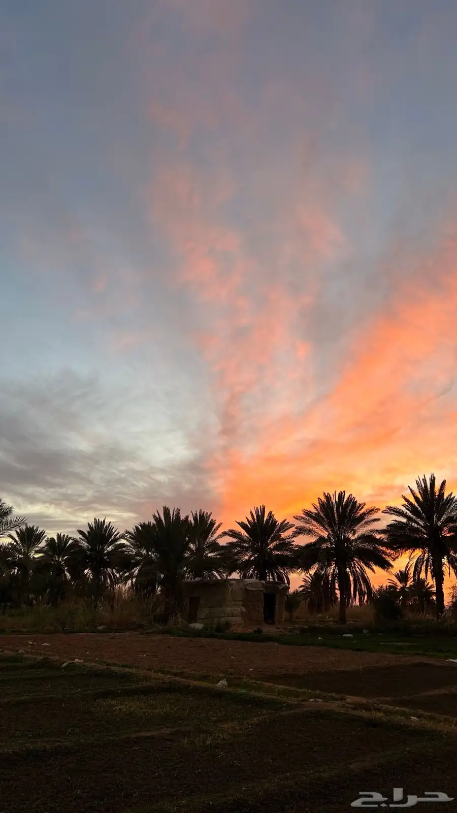 مصوره 28
