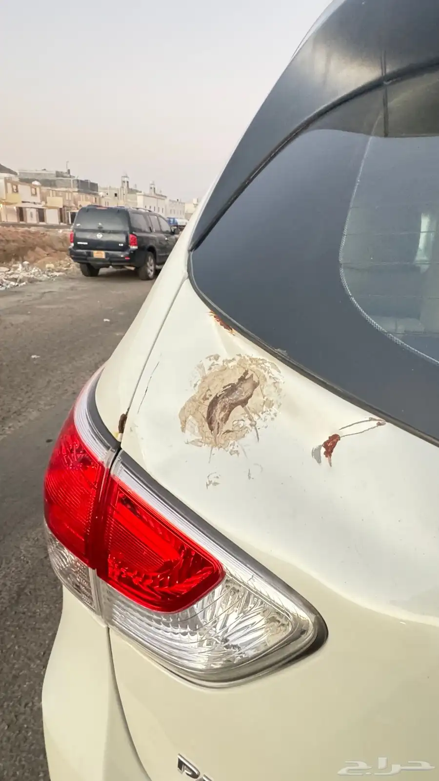 باثفندر 2016 8