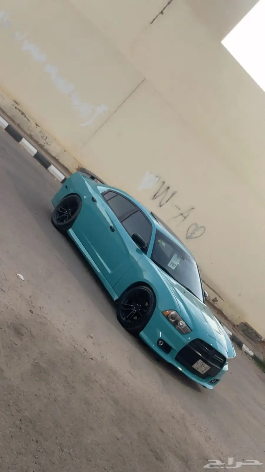 دوج تيفاني 19
