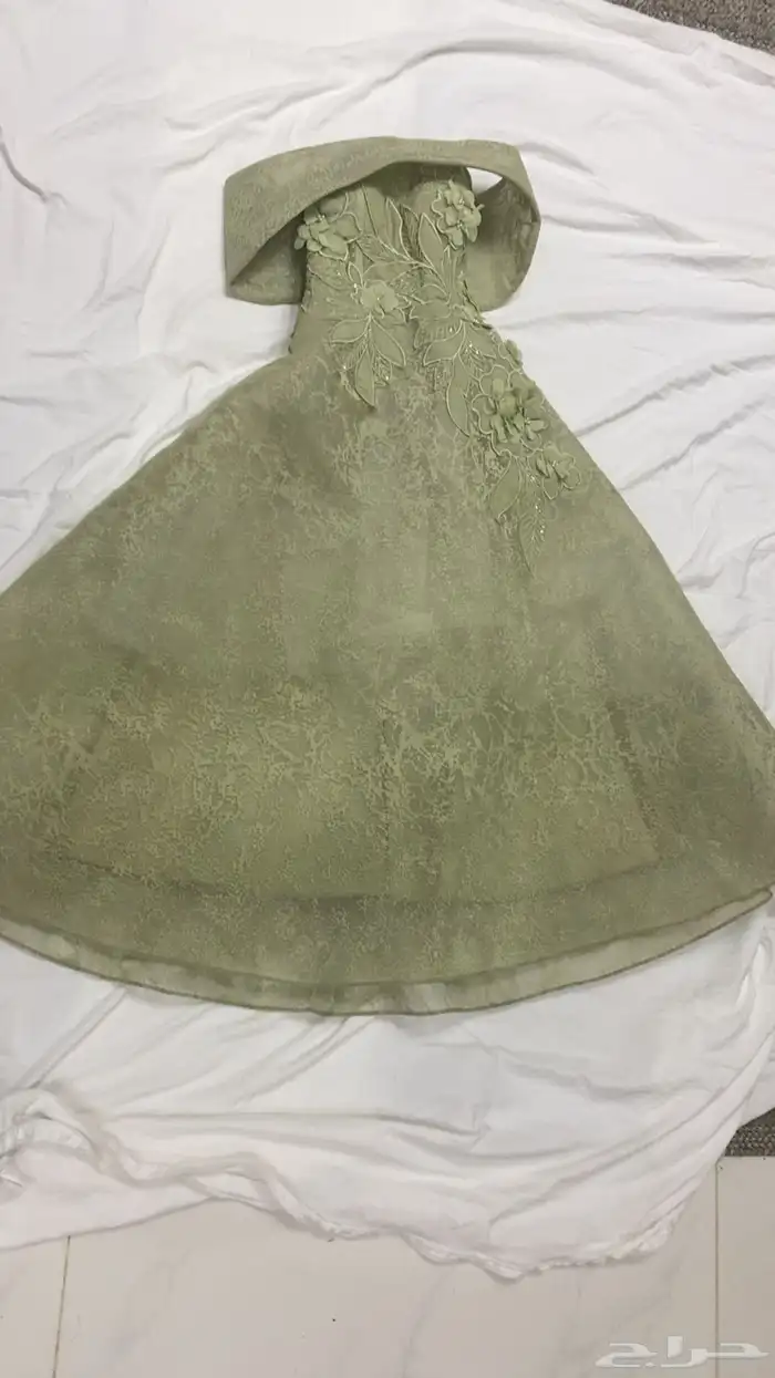 صامطه قريه الدريعية 1