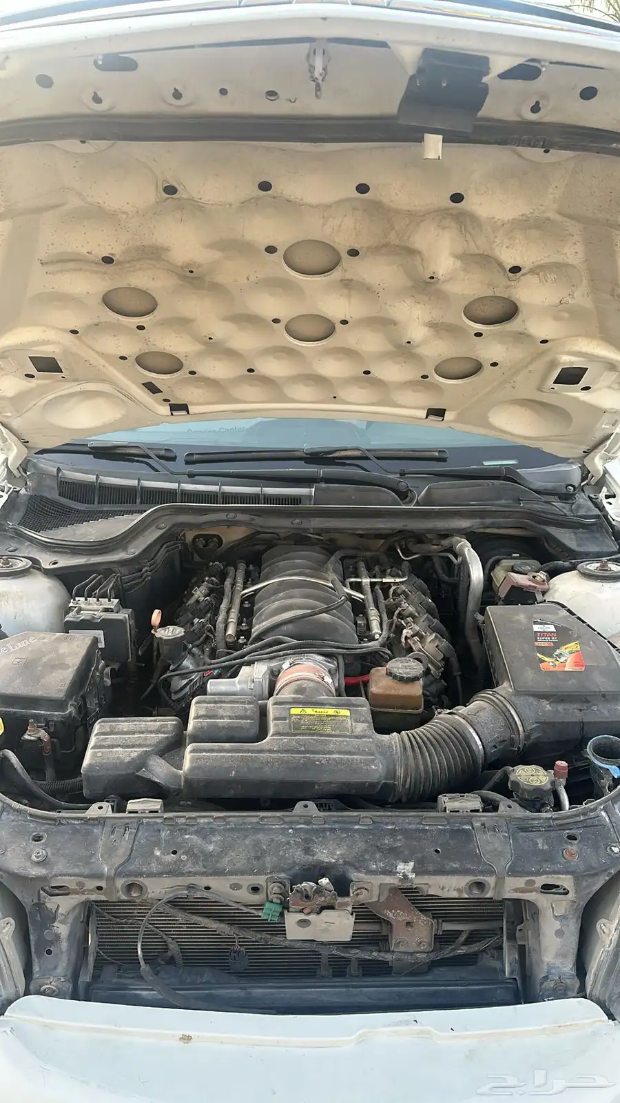 كابرس 2013 7