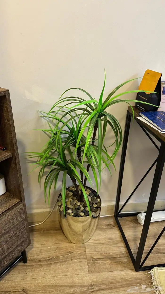 أثاث منزلي للبيع - Home Furniture for Sale جده 12