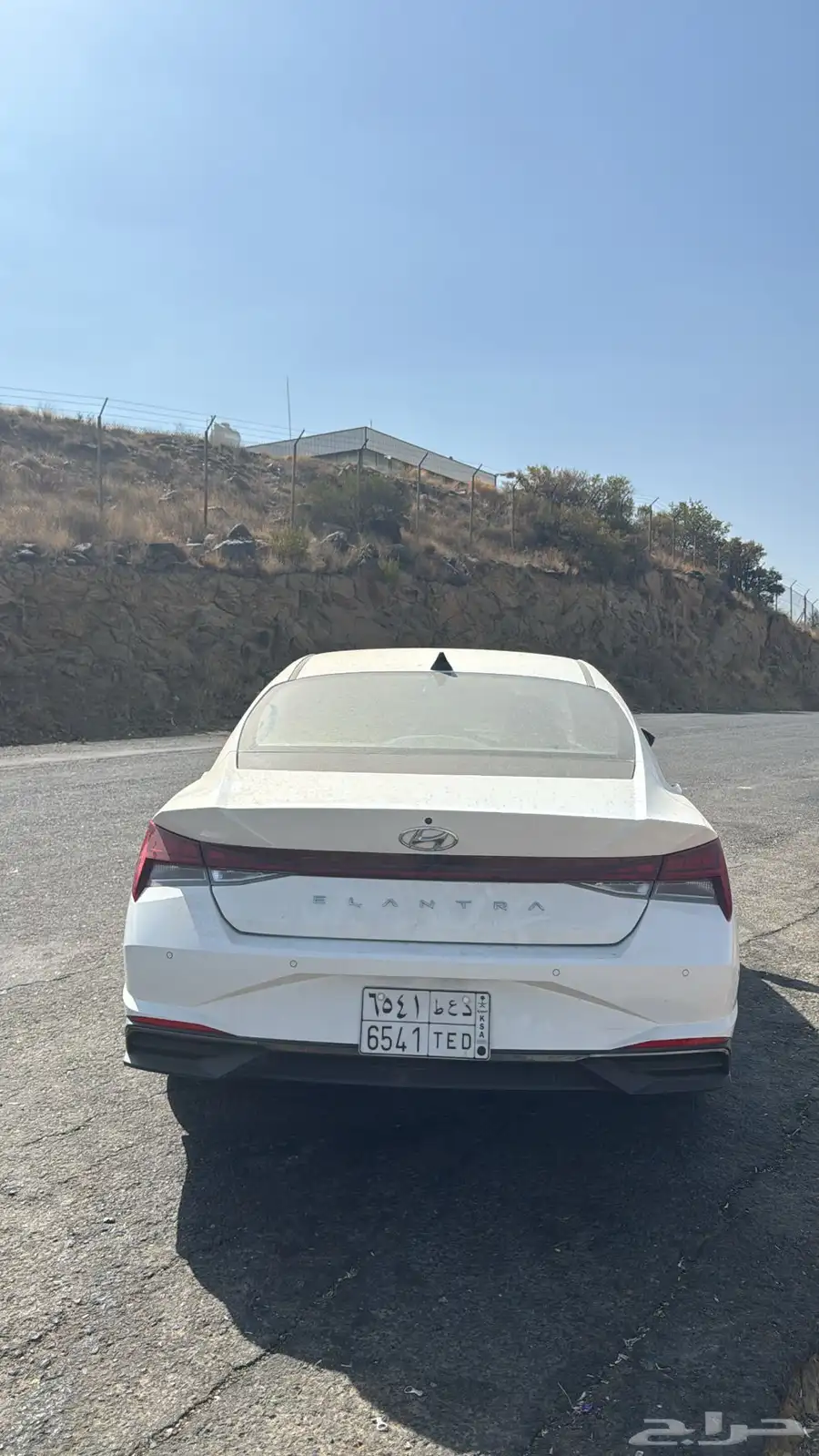 تم البيع 11