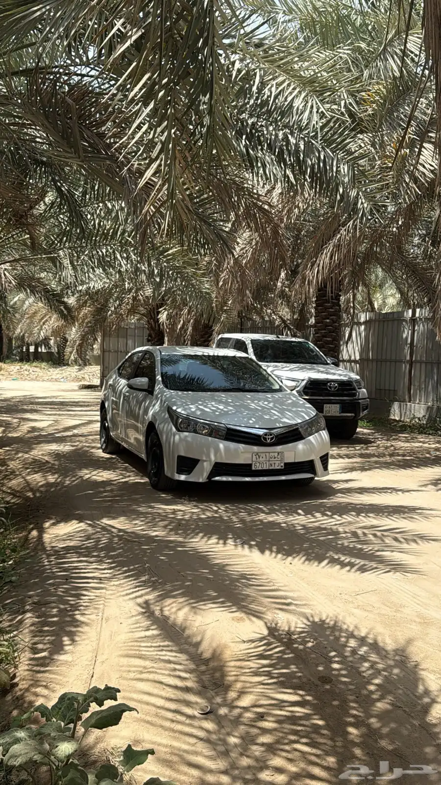 كورلا 2015 1