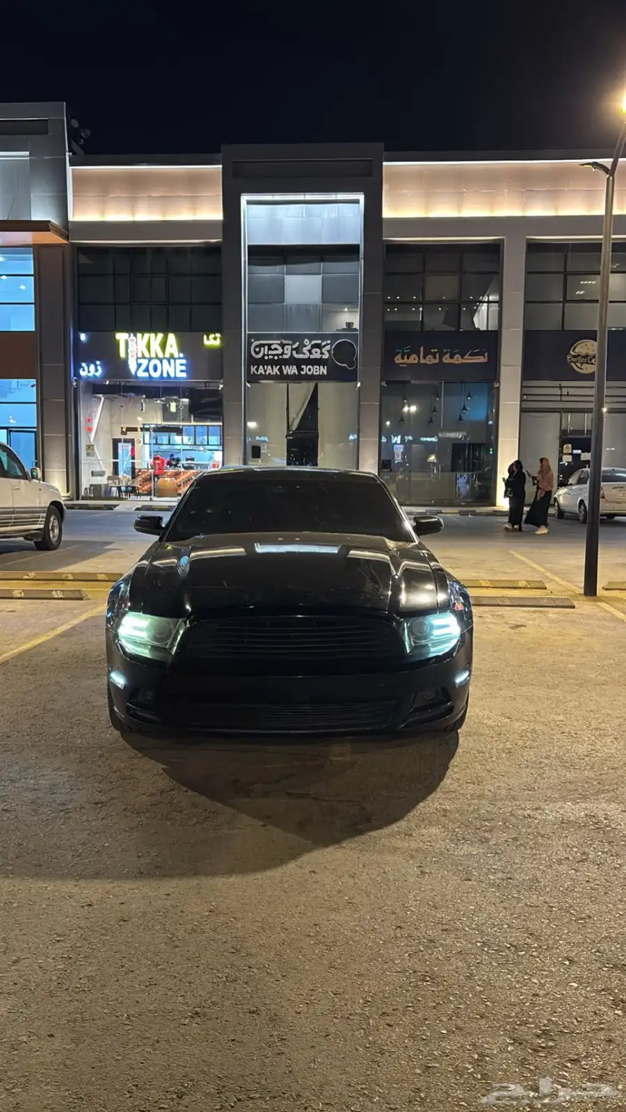 موستنق 2013 1