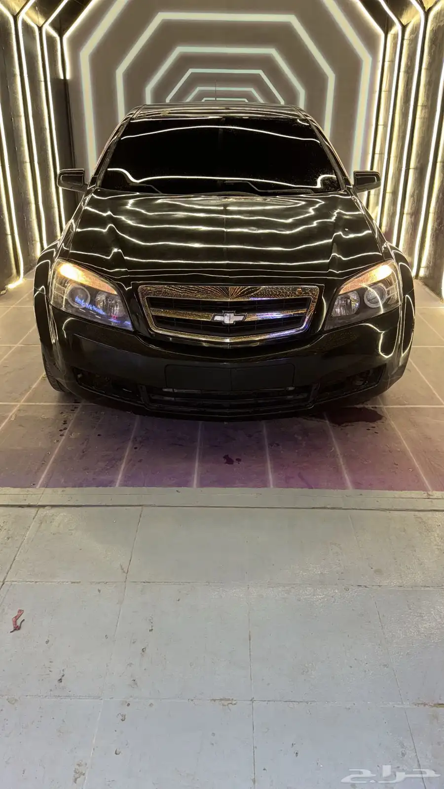 كابرس 2014 7