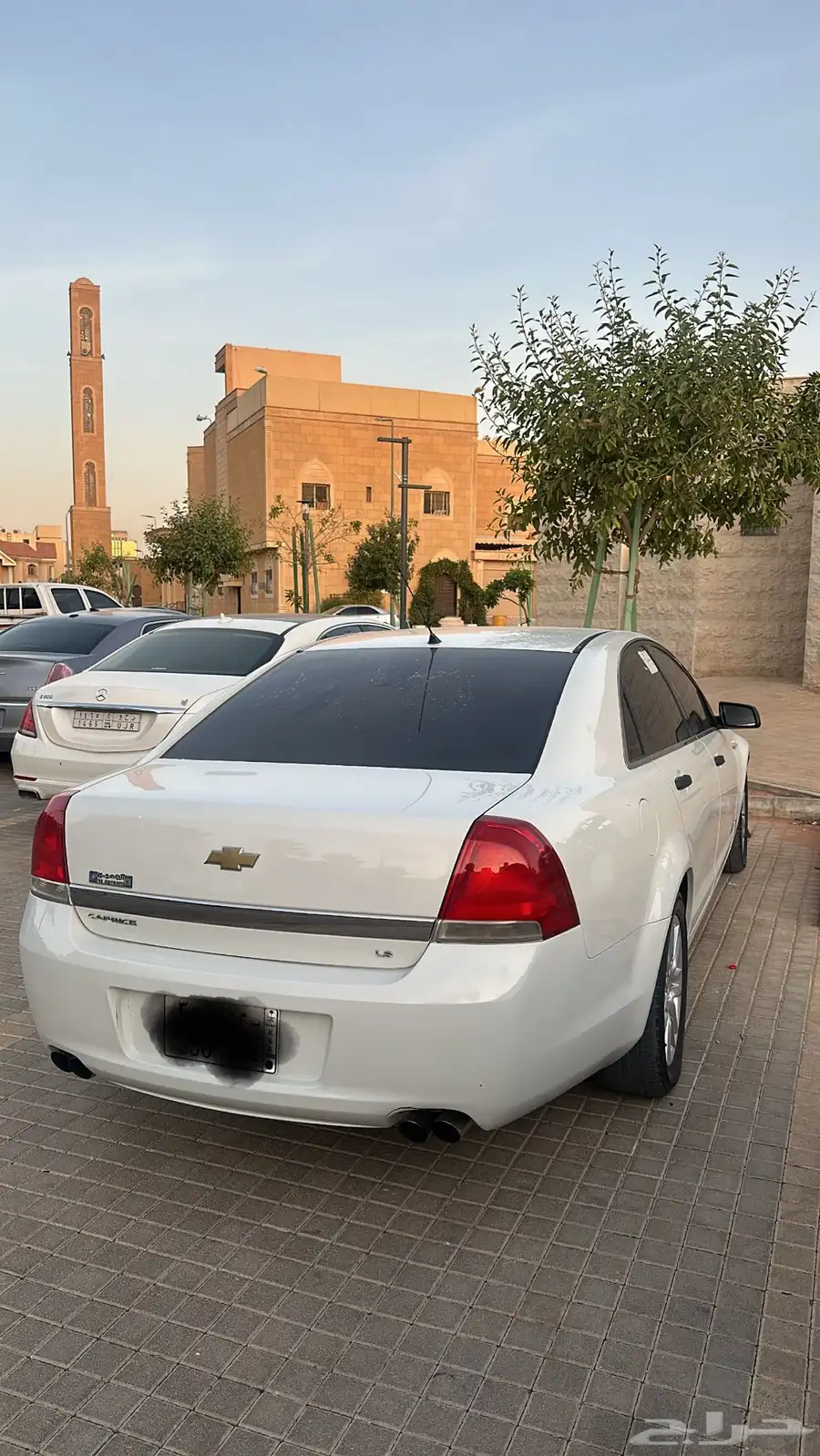 كابرس 2013 2