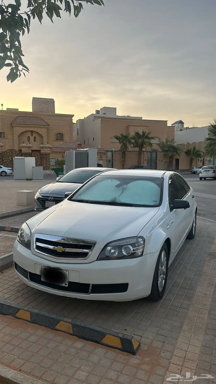كابرس 2013 0