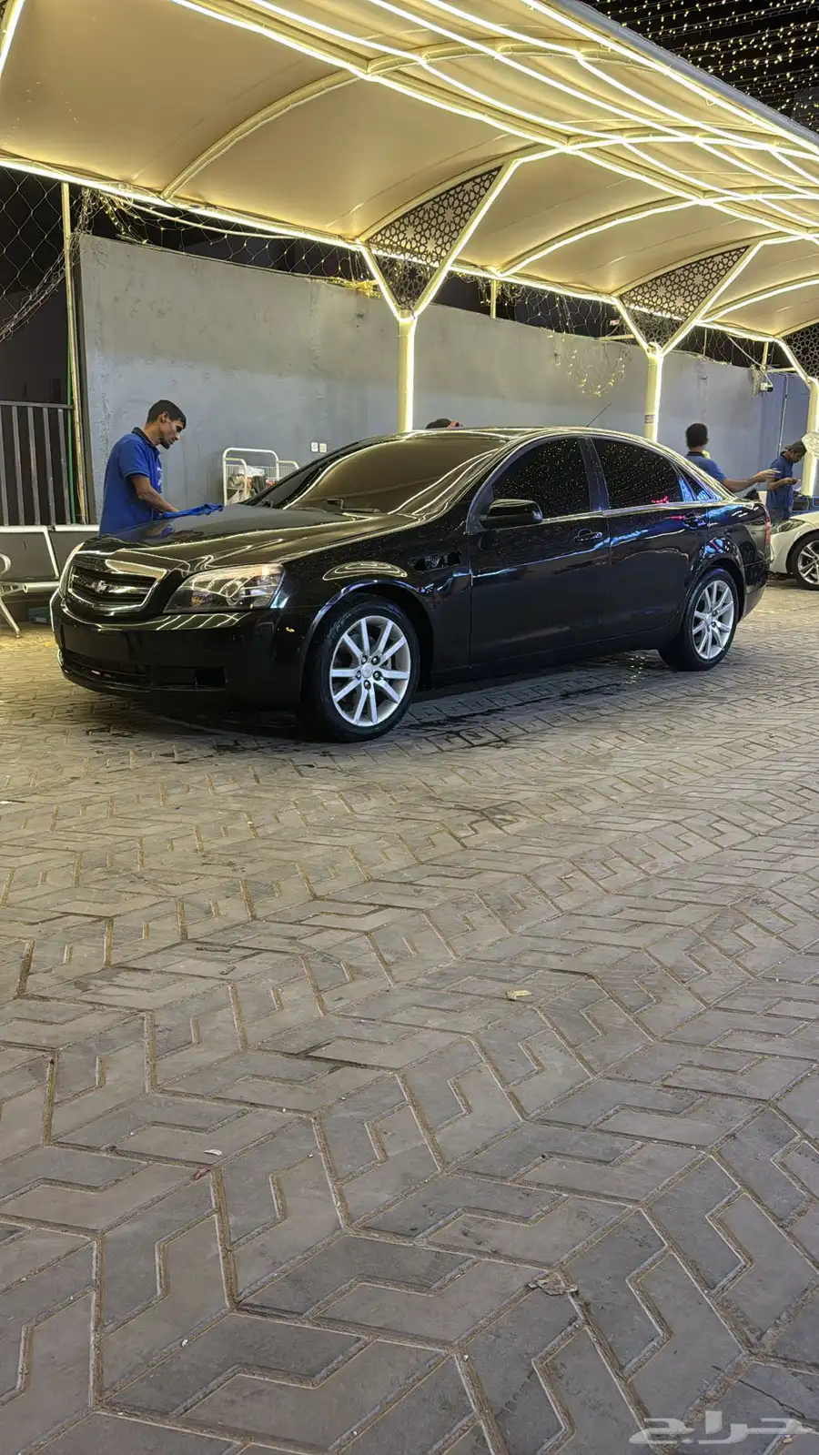 كابرس 2014 10