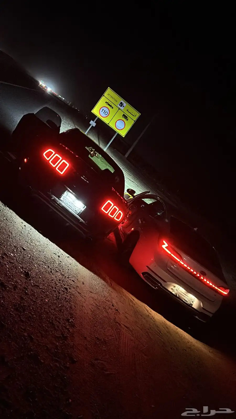 موستنق 2013 5