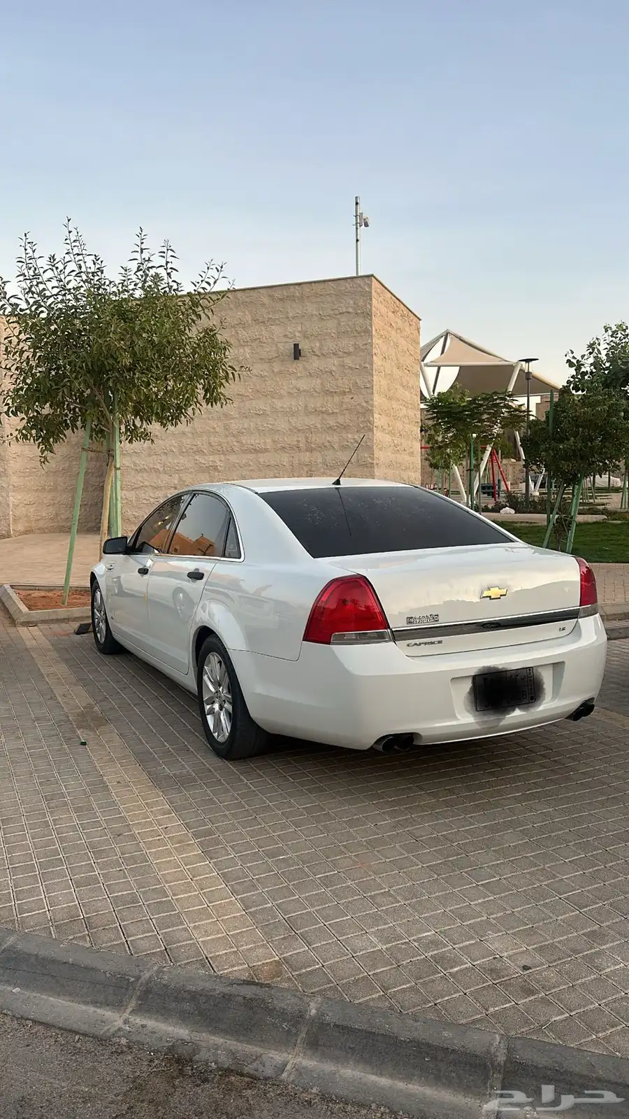 كابرس 2013 3