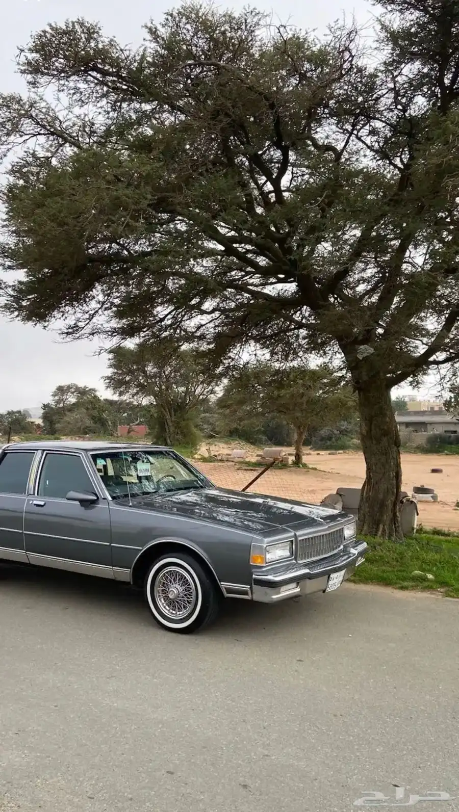 كابرس 89 11
