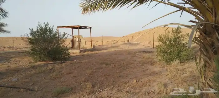 مزرعه للبيع 2