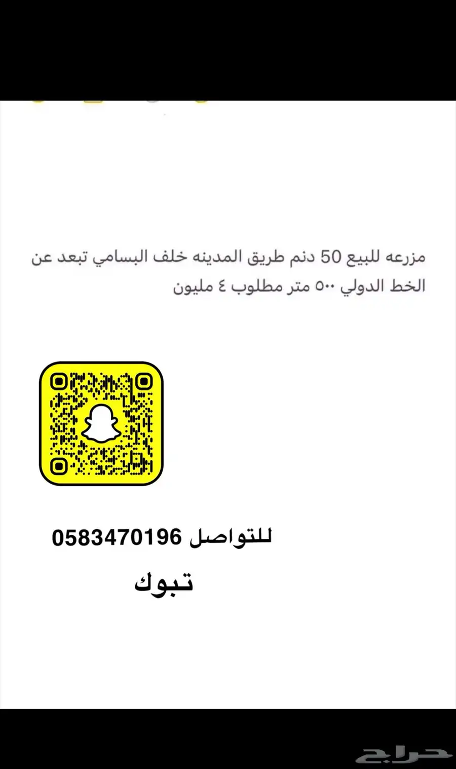 تبوك 10