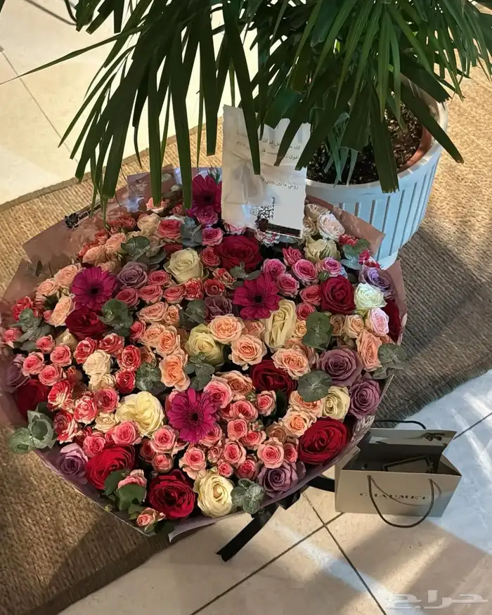 مندوب وتنسيق ورود 15