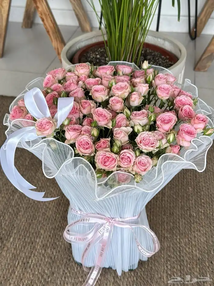 مندوب وتنسيق ورود 10