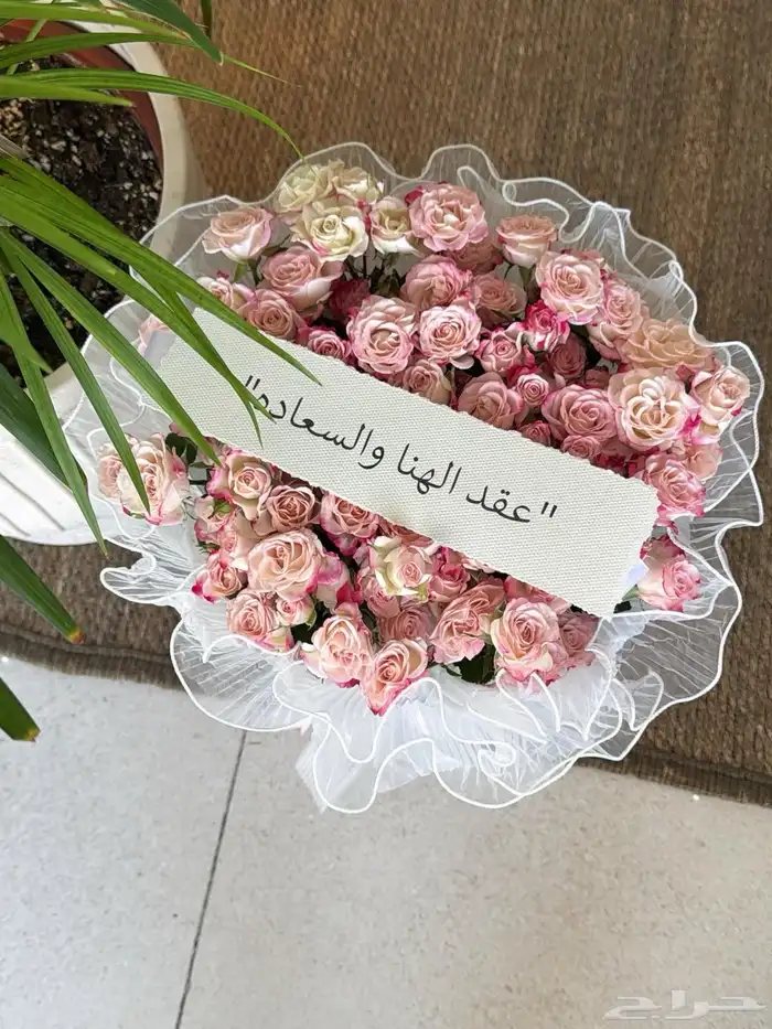 مندوب وتنسيق ورود 1