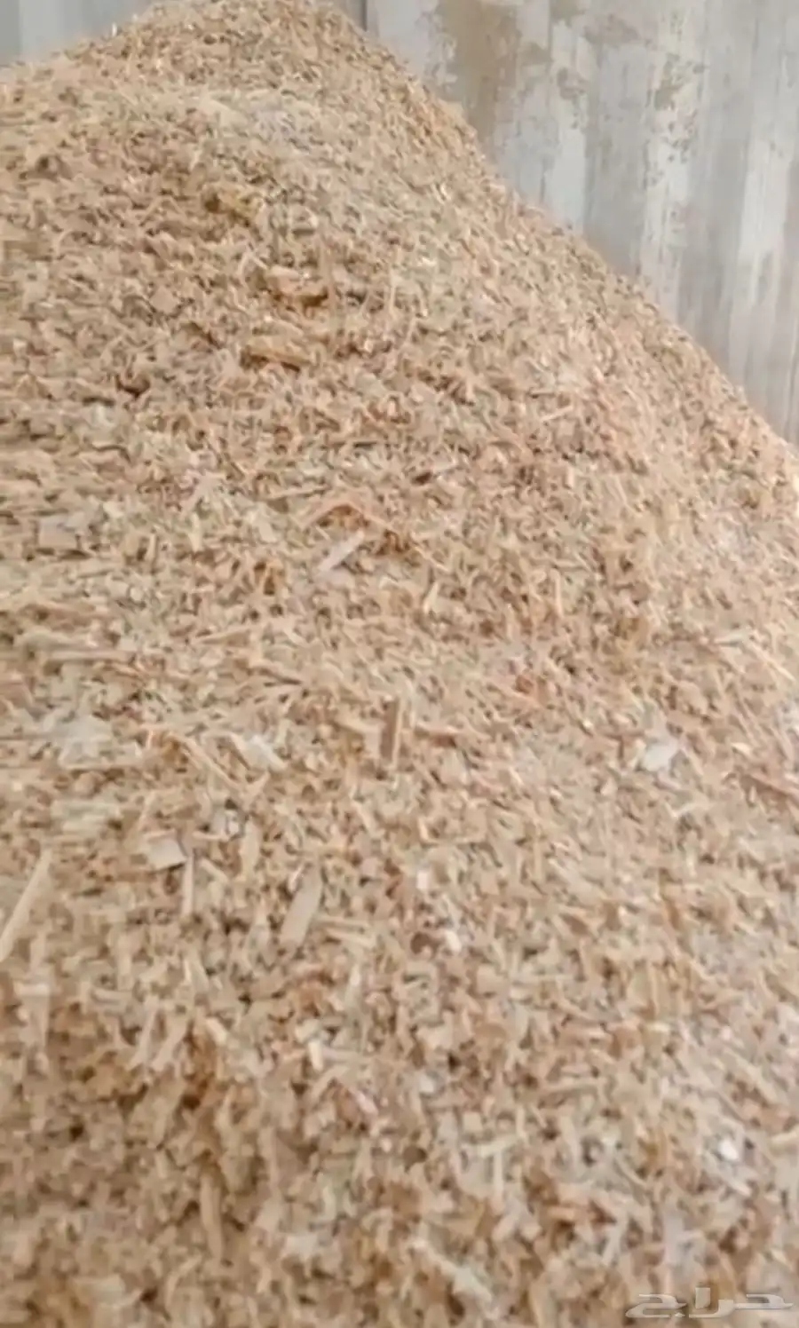 نشارة خشب ( wood shavings ) 0