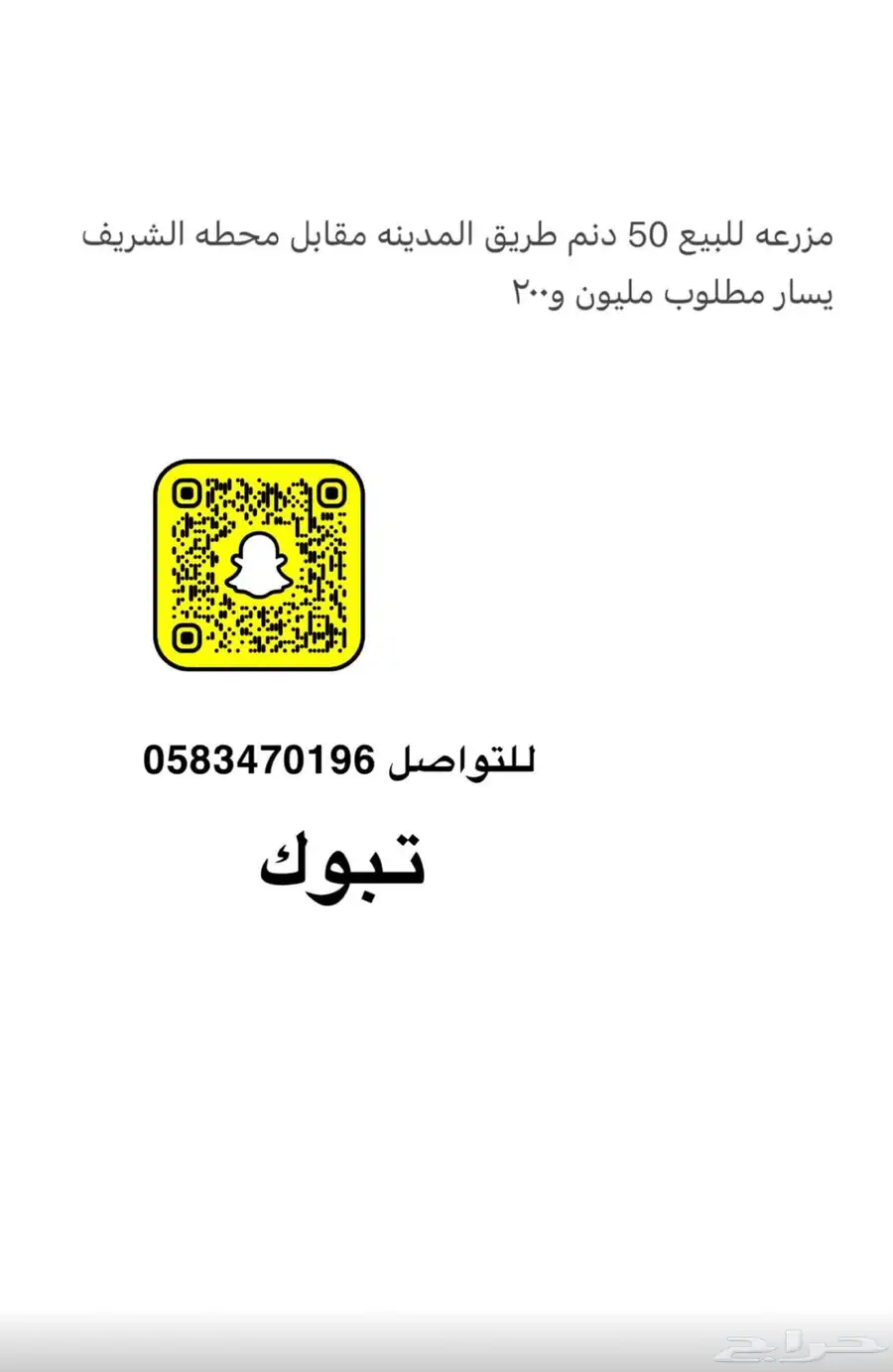 تبوك 0