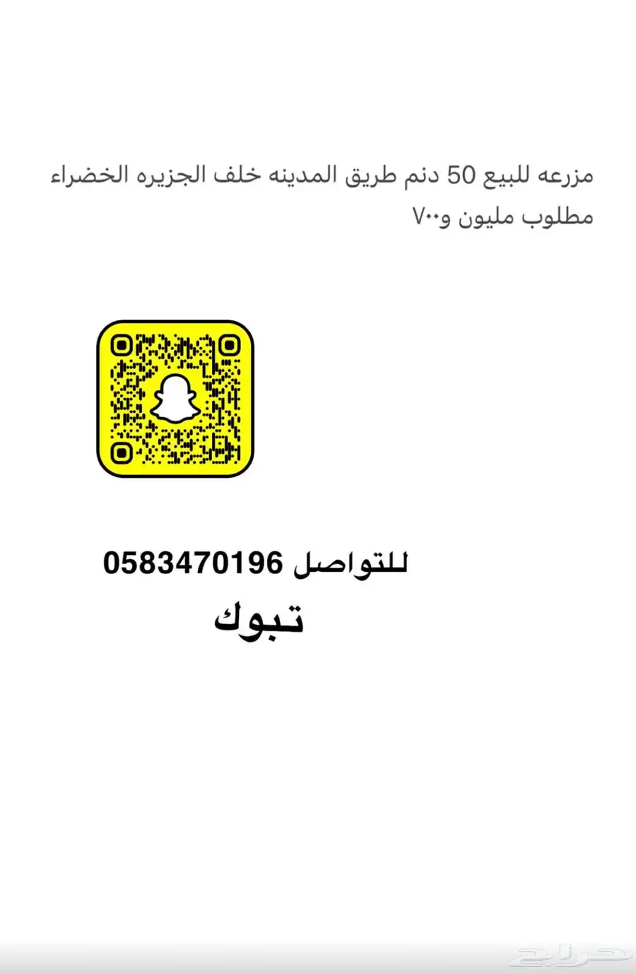 تبوك 5