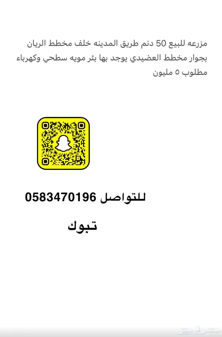 تبوك 8