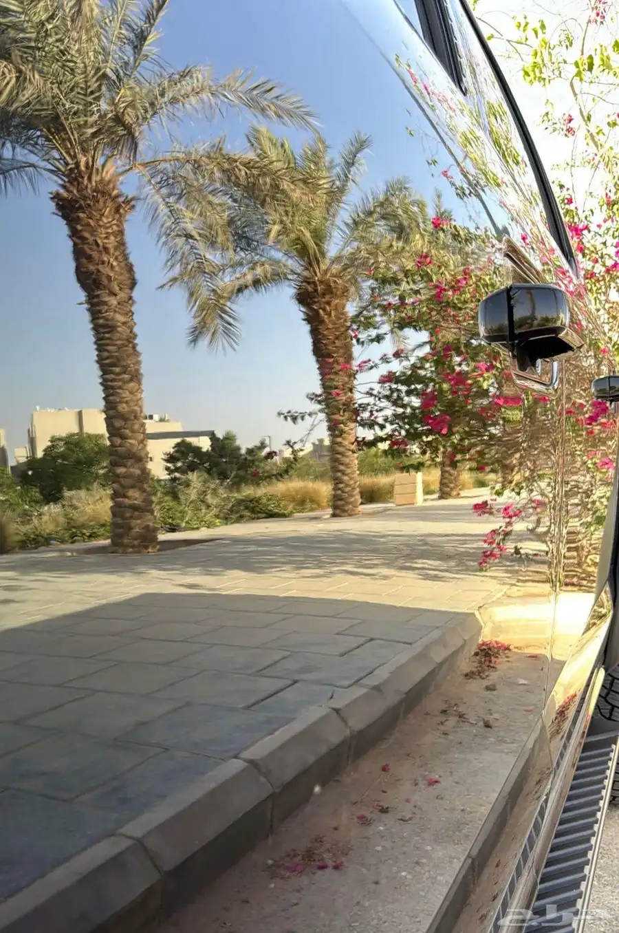 للبيع فورد F150 2015 12