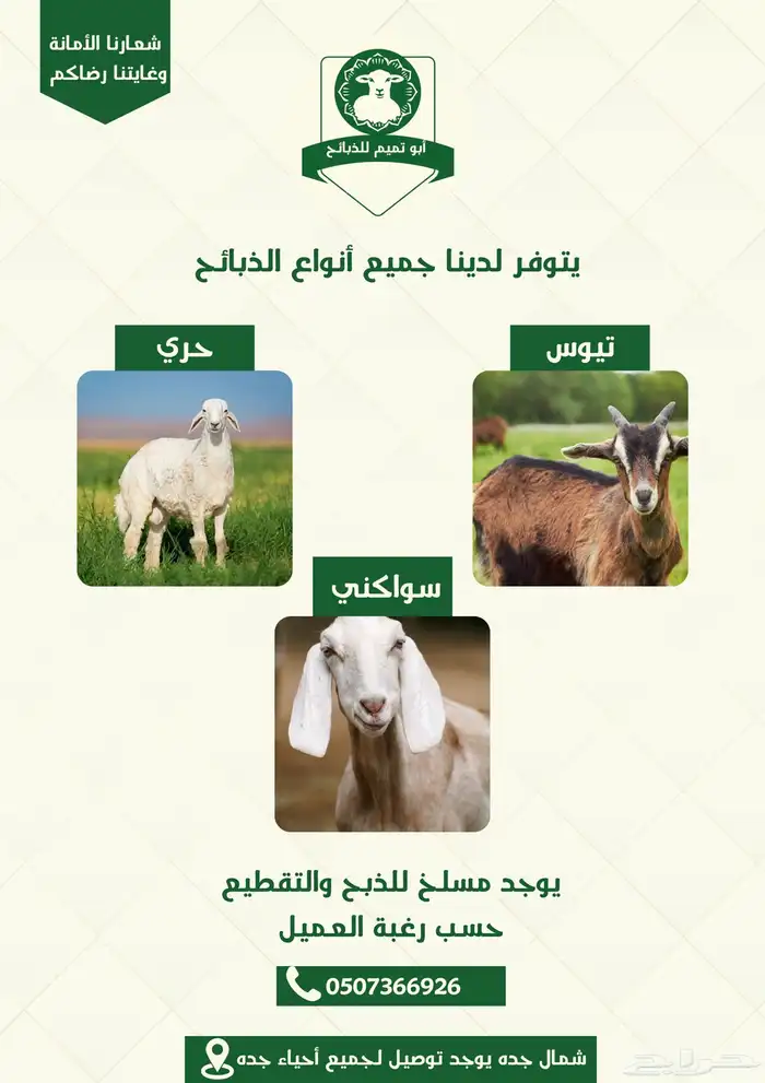 تصميم لوقو وبوستات سوشل ميديا 1