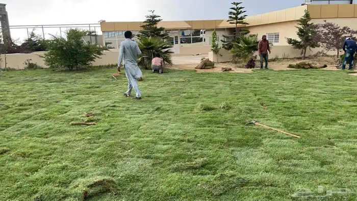 ارض مساحتها 5000 الاف في راس عقبة سنان 0
